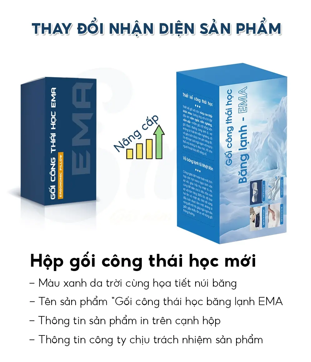 Gối công thái học EMA - Thiết kế cho mọi tư thế ngủ, chống đau cổ vai gáy, chống ngáy