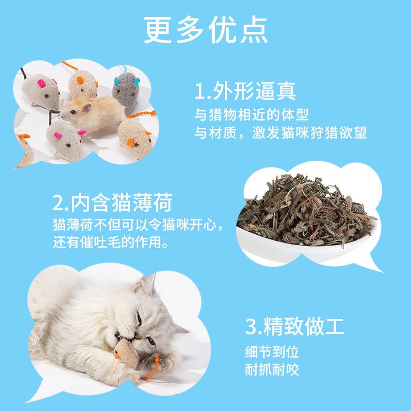 Cat Toy Little Mouse Self-Entertainment Cat Toy Durable Chew Cat Stick Catnip Toy Cat Grass Cat Teaser Ball Toy 1
