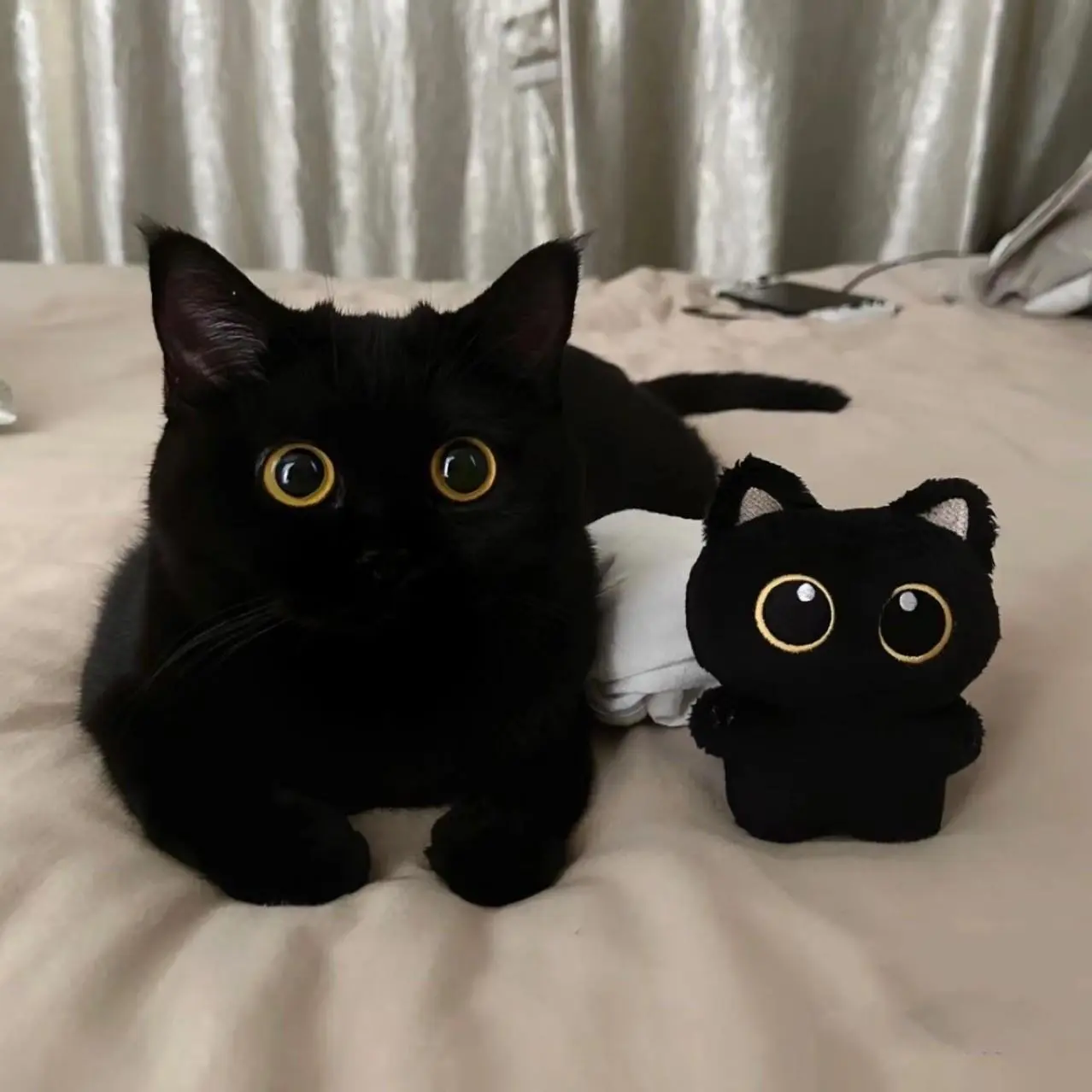Cartoon Cat Design Plush Toy, Interactive Soft Plush Toy for Cats, Pet Chew Toy, Pet Teething Toy, Dog & Cat Accessories