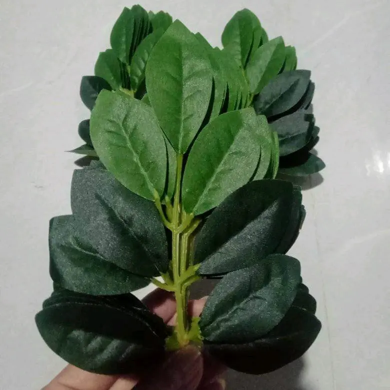 lá bồ công anh 1bó 10 cành