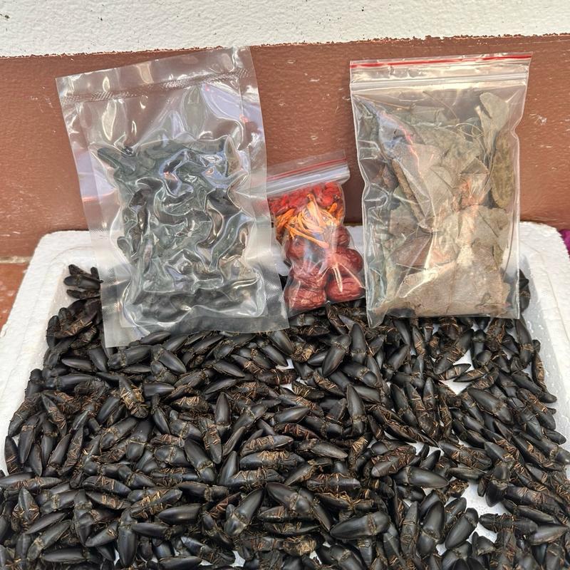 Combo 100 bữa cui khô tặng kèm đồ ngâm thảo mộc Tây Bắc trà