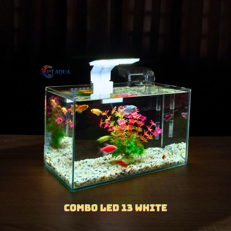 Bể cá mini để bàn có phụ kiện sỏi nền cây nhựa