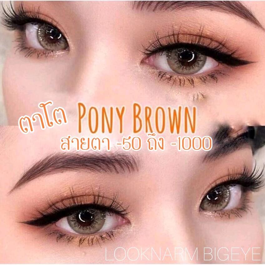 คอนแทคเลนส์ ลายดัง Pony Brown สายตา -50 ถึง 1000