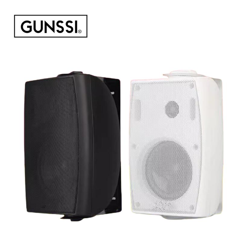 Loa treo tường GUNSSI HY-313 dành cho lớp học, cửa hàng, quán cà phê,... Bảo Hành 12 tháng Bluetooth