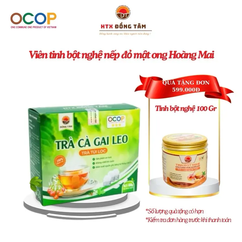 Trà Túi Lọc Cà Gai Leo 500gr Giúp Mát Gan, Thanh Nhiệt