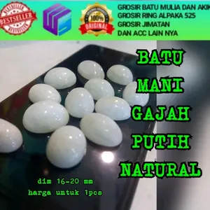 BATU MG PUTIH BISA JALAN DI AIR CUKA