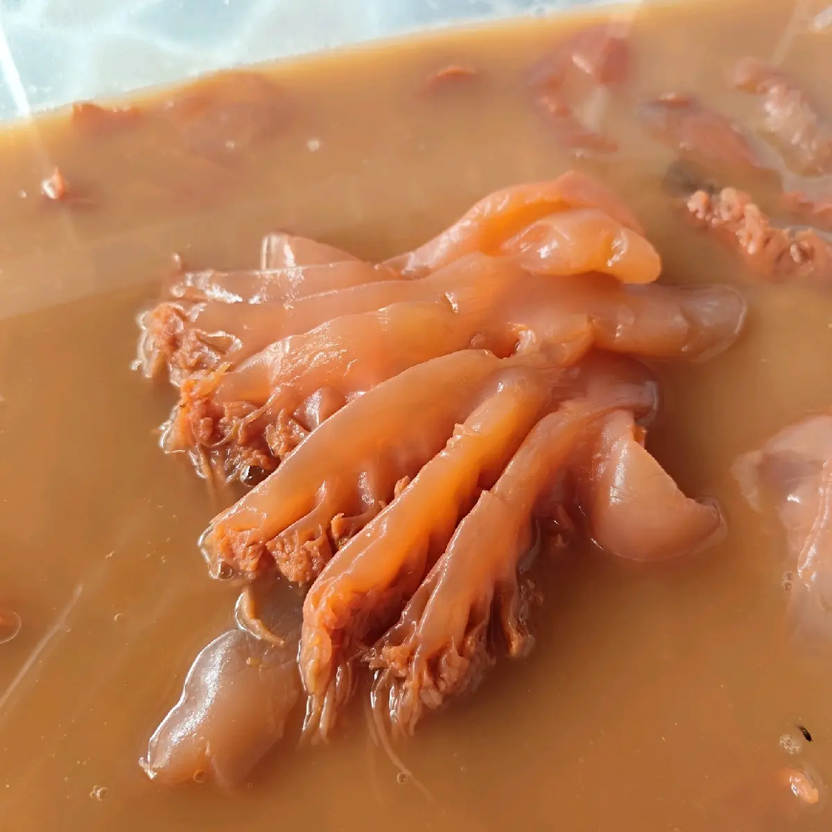 1kg sứa chân (sứa trắng)muối vẹt thái bình(tặng kèm mắm tôm)