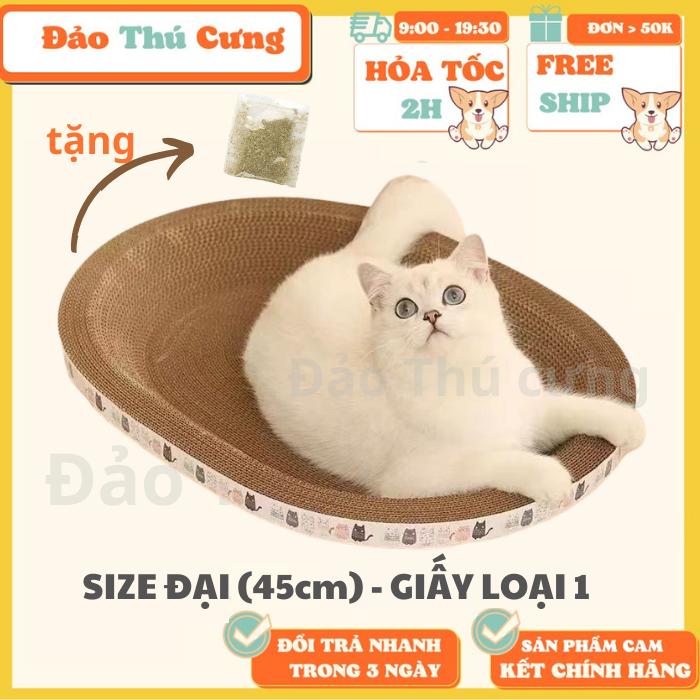  Bàn Cào Móng Cho Mèo Ổ cào móng cực lớn bàn cào móng cho mèo tặng catnip 5gr 