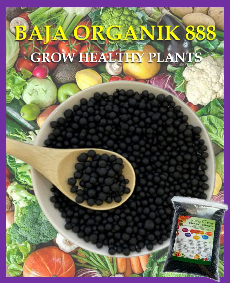 Nutri Grow 1KG Baja Kopi Organik Jepun NPK 888/Baja untuk Daun,Akar and Bunga/ Japan Organic Fertilizer/ Baja Organik