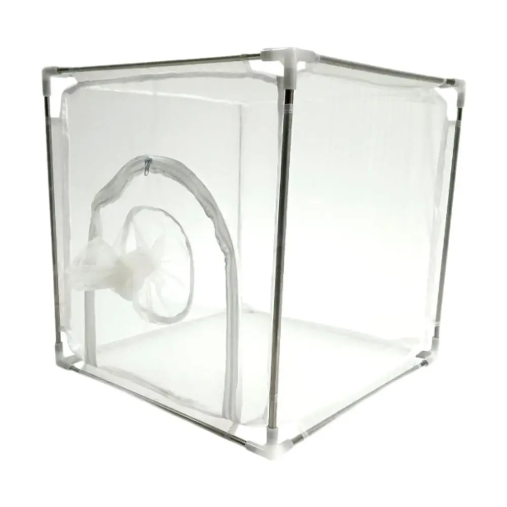 Butterfly Habitat Cage Multiuse Growing Habitat for Backyard Farm Dragonfly