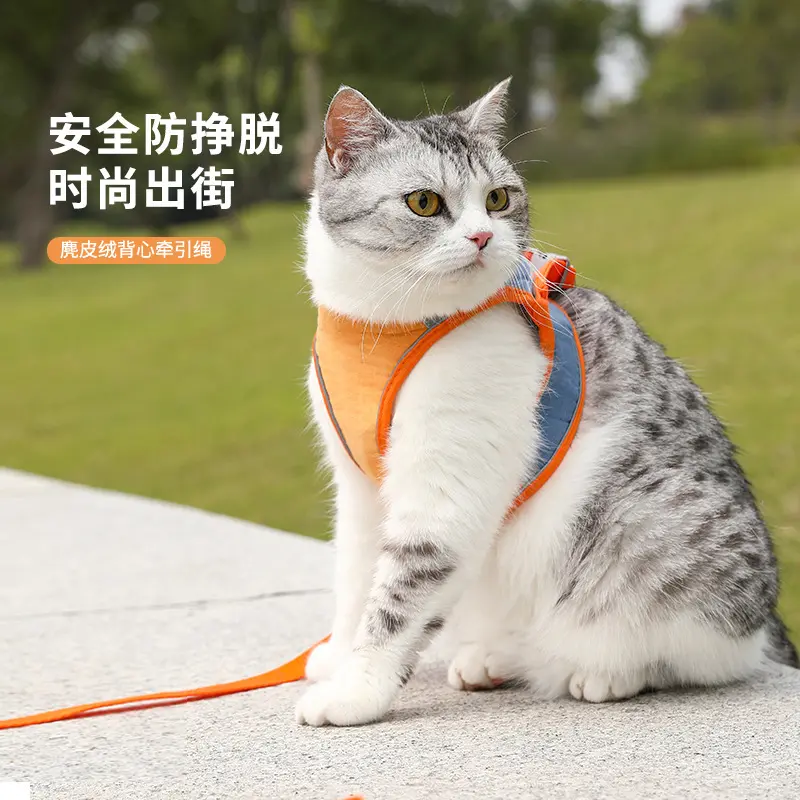 Walking Cat Walking Dog Special Rope
