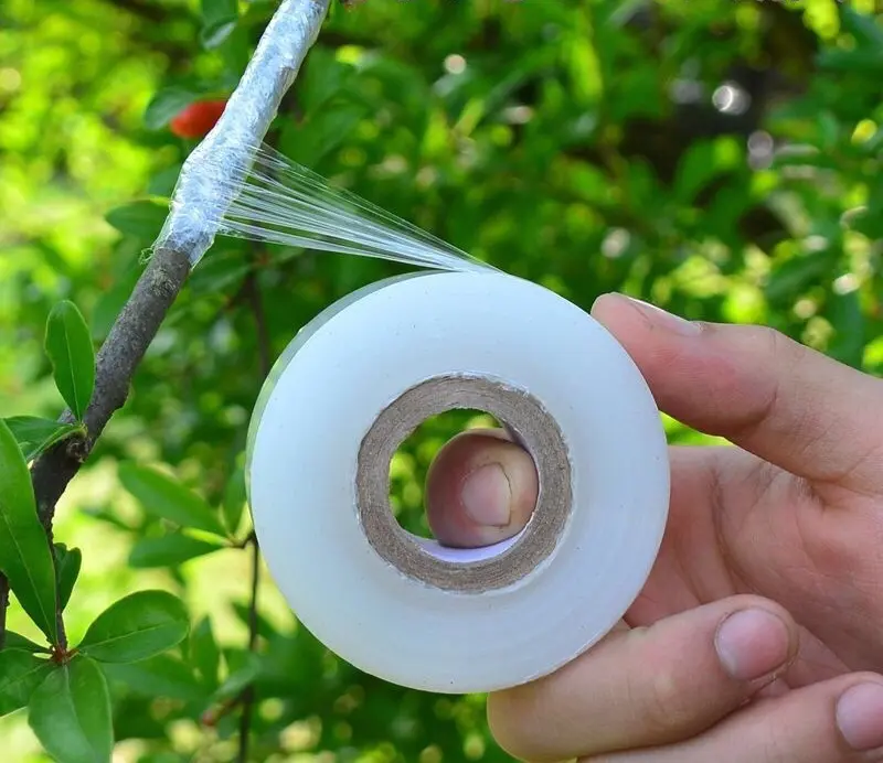 Băng Keo Màng Ghép Cây, Bảo Vệ Mối Ghép, Dây Quấn Mối Ghép Rộng 3cm