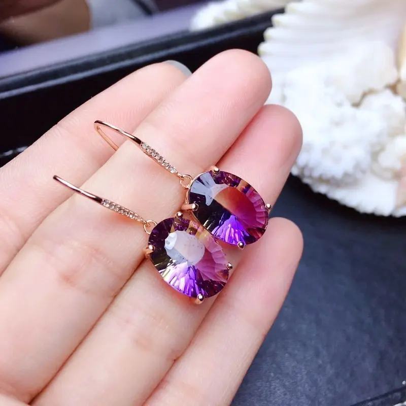 Hoa Tai Màu Tím Pha Lê Đơn Giản, Kim Bạc Mới, Giá Cả Phải Chăng, Thời Trang Cá Tính số lượng ít, Cao Cấp Và Thanh Lịch, Thời Trang Cổ Điển Hoang Dã, Được 731 Người Vinh Danh 8