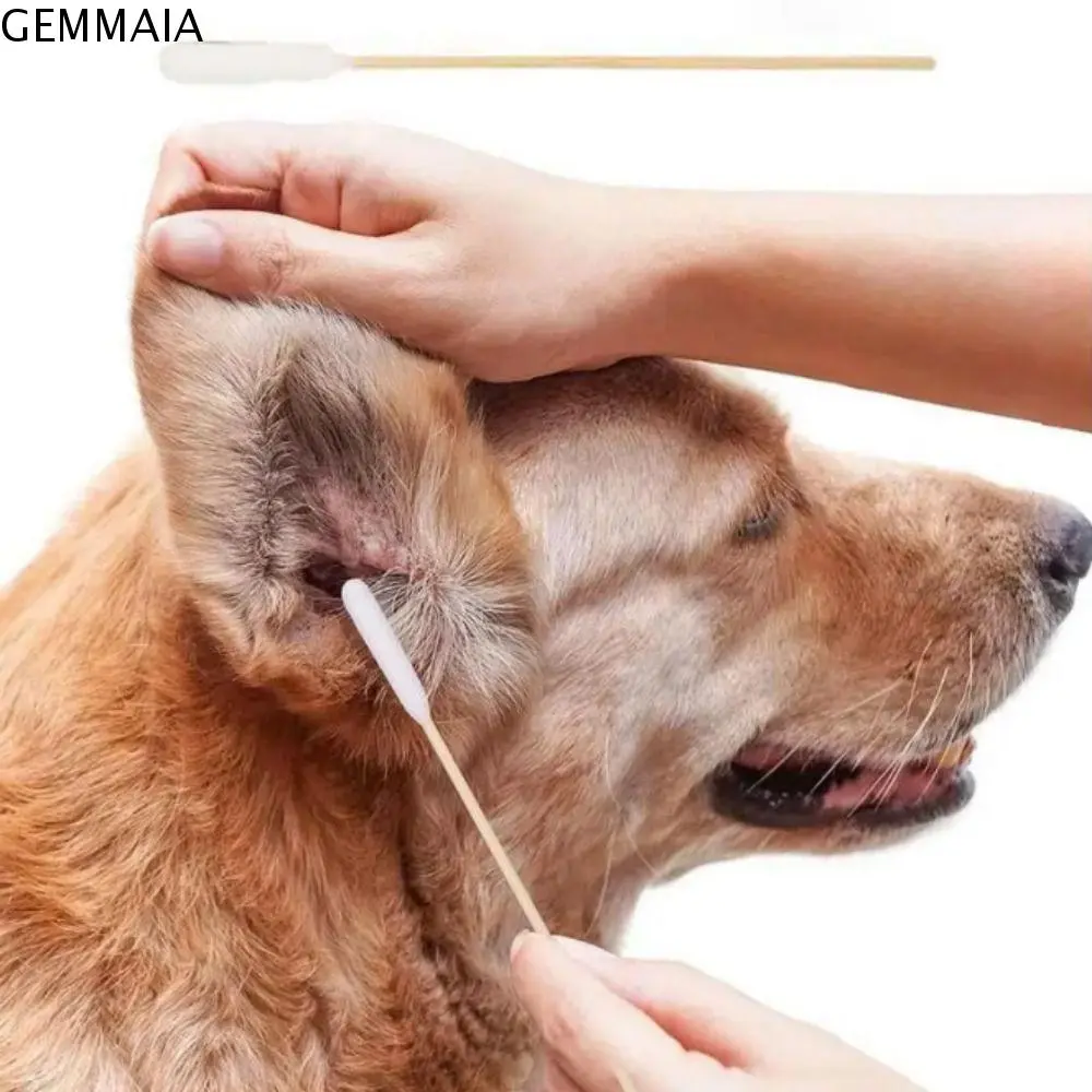 GEMMAIA 50pcs 15cm Pet Cotton Swabs Disposable Dirt Removal Cotton Swabs Dog Cotton Buds Single-head Dog Wash Ear Stick for Cats Puppy