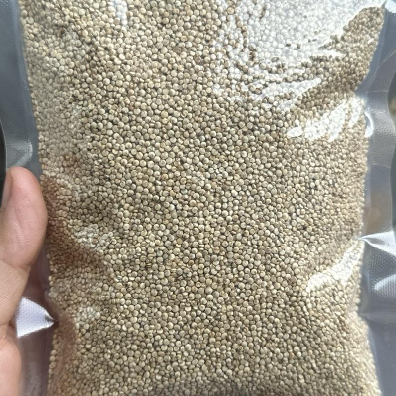 Hạt Diêm mạch Quinoa - NK Mỹ  hạt diêm mạch 1