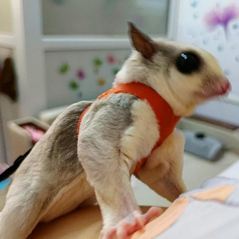 Dây Xích Thú Cưng, Cỡ Nhỏ Thích Hợp Cho Chuột Hamster, Phòng Chống Thoát Hiểm, Chống Cắn, Dây Đeo Ngực Cho Gấu Vàng, Gấu, Chuột Sóc Và Sóc, Dây Xích Chống Mất Đặc Biệt 4