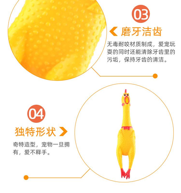 Product Introduction of Pet Toy Screaming Chicken Sound Toy Screaming Chicken Molar Dogs and Cats Bite-Resistant Decompression Toy Supplies 7