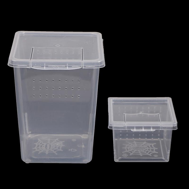 Product Introduction of Plastic Insect Spider Habitat Feeding Box Case Container Tank Transport Case Toy 9