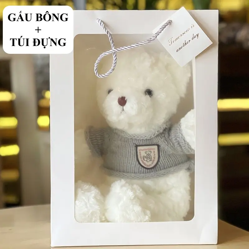 Túi quà tặng gấu nhồi bông xinh xắn, quà tặng cho valentine, 14/2, 20/10, 8/3,... GA03
