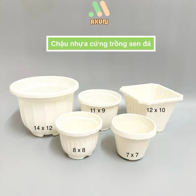 Chậu nhựa cứng tròn trắng mini trồng sen đá và xương rồng 0