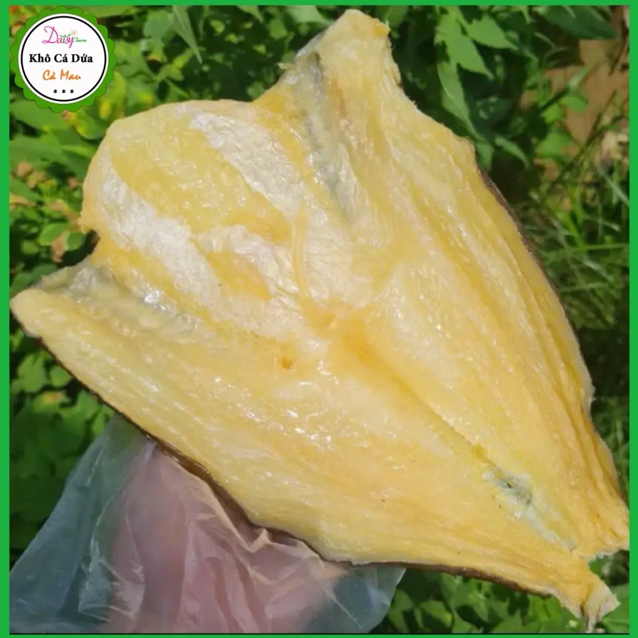 Khô cá dứa Cà Mau xẻ nguyên con ướp vị vừa ăn 500gr Thức Ăn