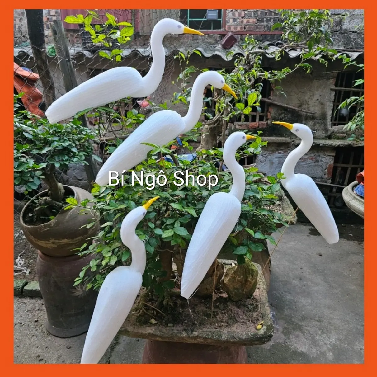 Cò trắng xốp dẻo bẻ không gẫy