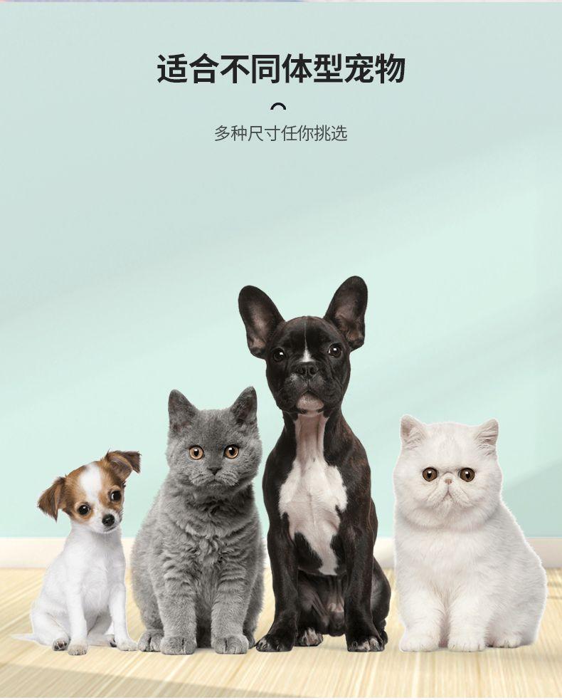 Product Introduction of Tấm Lót Tã Cho Thú Cưng, Tấm Lót Băng Vệ Sinh Bằng Giấy, Thích Hợp Cho Chó Và Mèo, Tấm Lót Băng Vệ Sinh Cho Chó, Tấm Lót Băng Vệ Sinh Cho Mèo 1