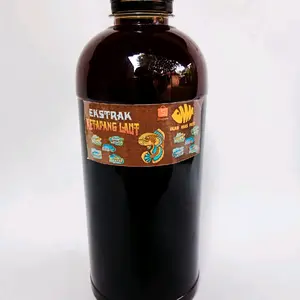 Ekstrak ketapang laut untuk channa progress terbaik