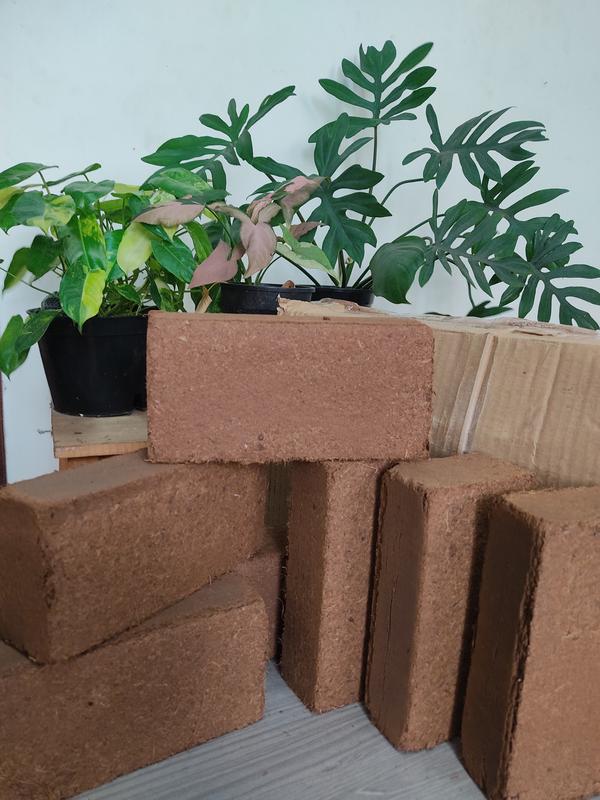 Combo 10 viên Đất Trồng Cây Viên Đất Nén Xơ Dừa Tiện Ích diệt khuẩn kháng sâu bệnh bổ sung nhiều vi sinh hữu cơ cho cây rau củ quả hoa