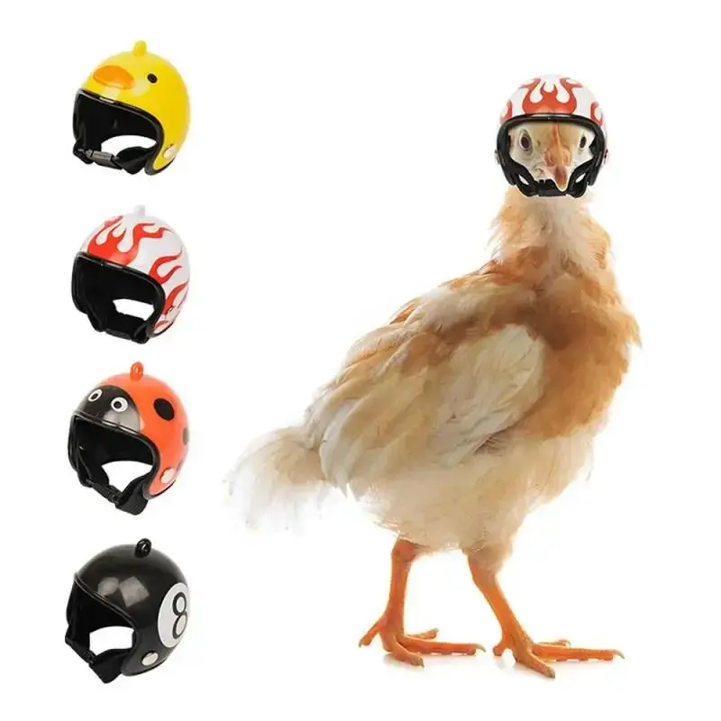 1Pc Chicken Helmet Cap Pet Protective Protection Pet Bird Hens Helmet Small Pet Supplies  Protective Gear Costumes Accessories