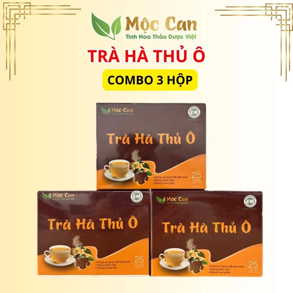 Combo 3 hộp Trà hà thủ ô Mộc Can 75 túi lọc