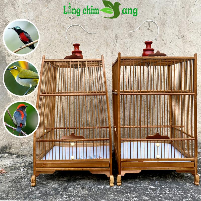 khung lồng chim hút mật, khung lồng chim khuyên , khung lồng chim ốc mít , khung lồng chim sâu