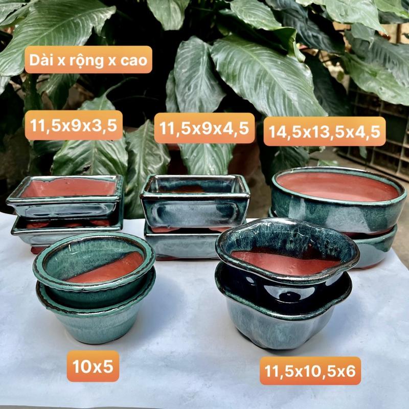 bộ trọn full kỳ thần Xả 10 Chậu mini trông sen đá, xương rồng, bonsai mini, trang trí decod không gian, men xanh hỏa biến chau trong chiếc chậu  cây chậu chậu  cây robot cảnh  để bàn