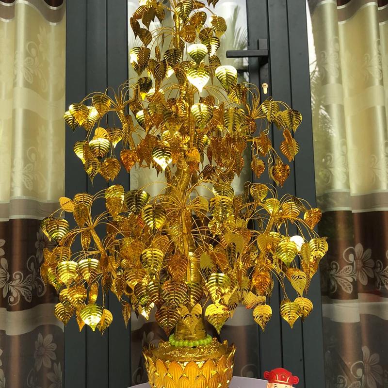  Cây kim tiền   cây cành vàng lá Ngọc  Decor Phòng Decor Phòng Khách trần bonsai 