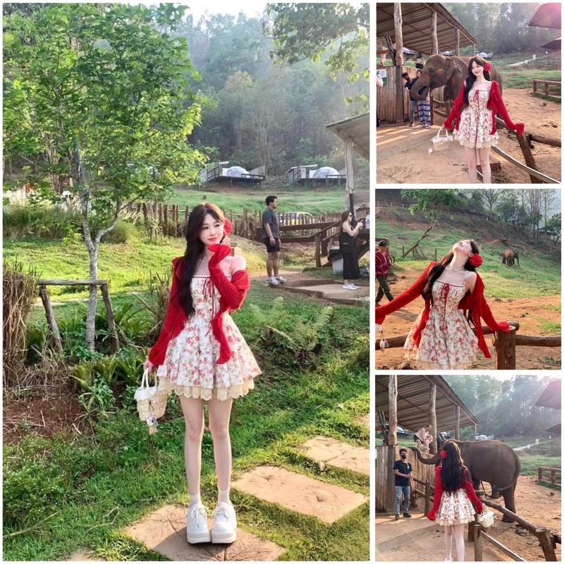 Váy Hela tiểu thư váy lụa hoa xoè phối ren kèm áo khoác thun gân