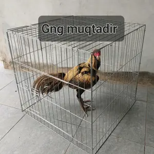 kandang ayam besi bisa di lipat, kurungan ayam, jemuran ayam bahan besi tebal croam mengkilap ukuran 60x60