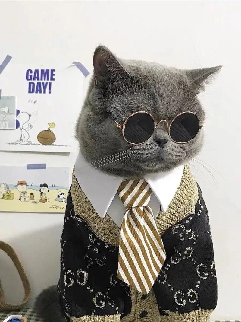 Product Introduction of Pet Sun Glasses Pet Vintage Round Glasses Cat Accessories Puppy Photos Props Decorations for Dogs Reflection Eyewear Glasses 11
