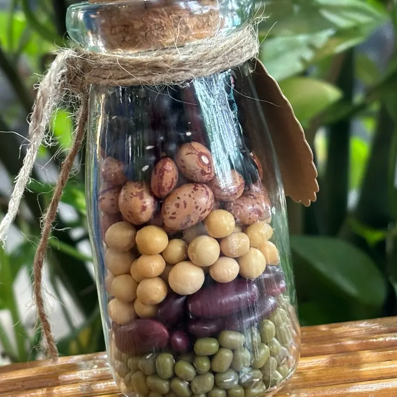 ￼Đậu ngũ sắc cầu con linh nghiệm, Ku Tin bỏ đậu vào lọ nhả vía cho các Bố Mẹ 3
