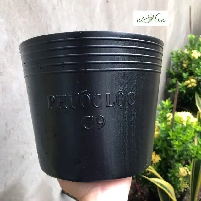 Khay Nhựa Dẻo chuyên dụng tách form cá Betta KT 20x16cm
