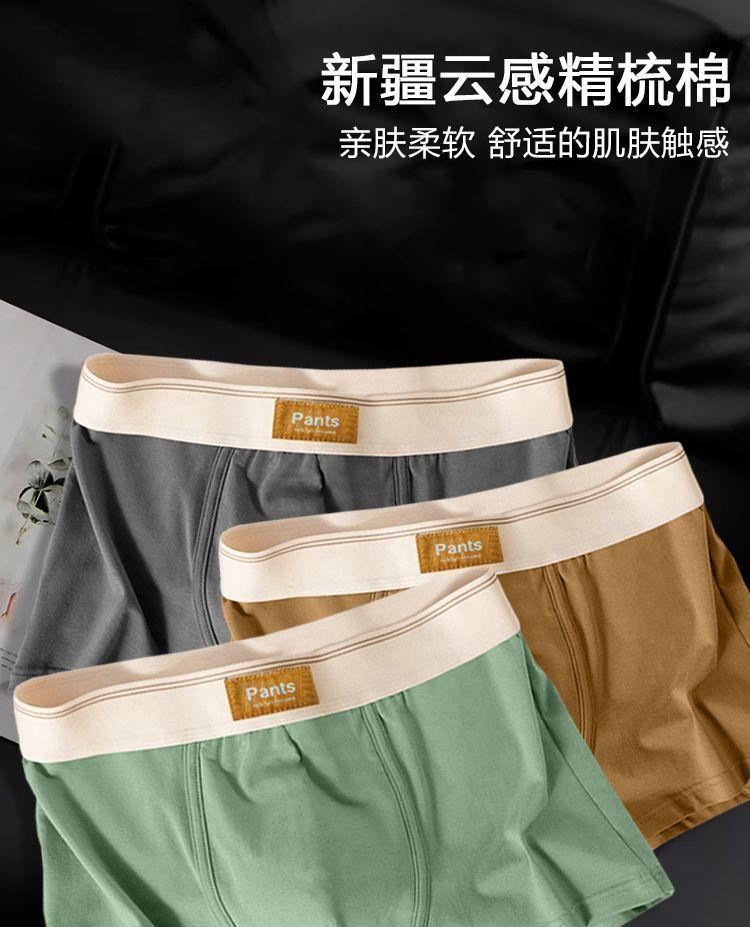 Product Introduction of Đồ Lót Nam Trơn Chất Liệu Cotton Nguyên Chất, Thiết Kế Boxer Đơn Giản, Thoáng Khí, Hàng Mới Về, Hợp Xu hướng, Kháng Khuẩn, Thích Hợp Cho Chàng Trai Trẻ Trung Và Thanh Niên, Quần Đùi Boxer 8