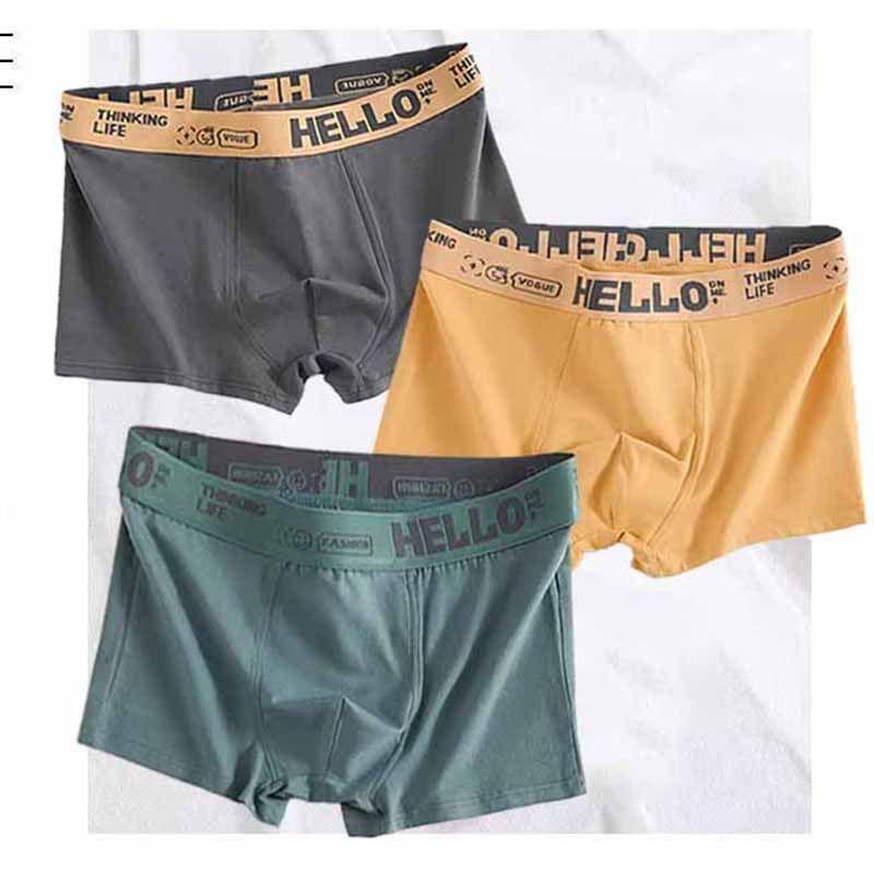 Quần Lót Nam, Quần Lót Rộng Rãi, Quần Đùi Thoáng Khí, Quần Đùi Boxer, Thích Hợp Cho Bé Trai Và Thanh Thiếu Niên, Quần Lót Kháng Khuẩn, Bộ Sưu Tập Người, [5027 Bộ Sưu Tập] 2