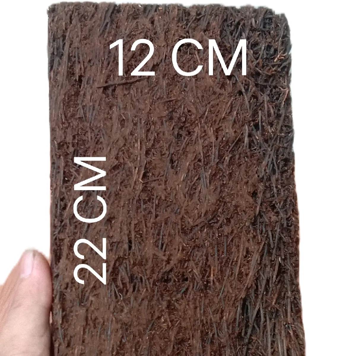 Papan pakis ukuran 22/12 cm untuk media tanam anggrek