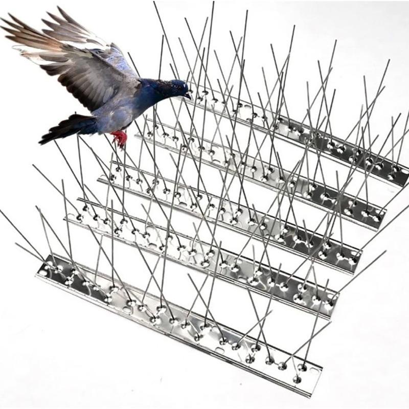 Stainless Steel Bird Spikes, For Buildings at ₹ 50/piece in Rangareddy Stainless Steel Bird Spikes, For Buildings at ₹ 50/piece in Rangareddy