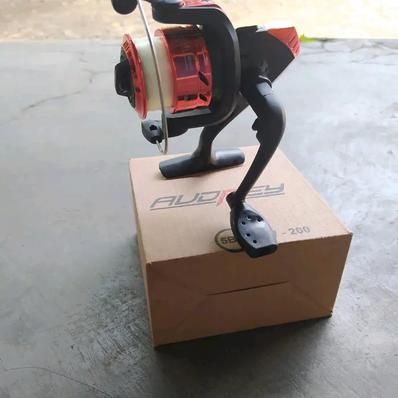 Reel Audrey (Atom) 200AW 2