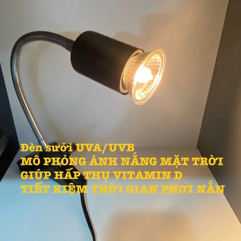 New Đèn sưởi ấm cho thú cưng - mô phỏng ánh sáng mặt trời, tạo tia UVA, UVB tốt cho lông và xương 0