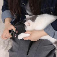 Gambar PAWS N TAIL GUNTING KUKU HEWAN - HITAM/HIJAU PET dari AZKO ID Kota Administrasi Jakarta Barat 2 Tokopedia