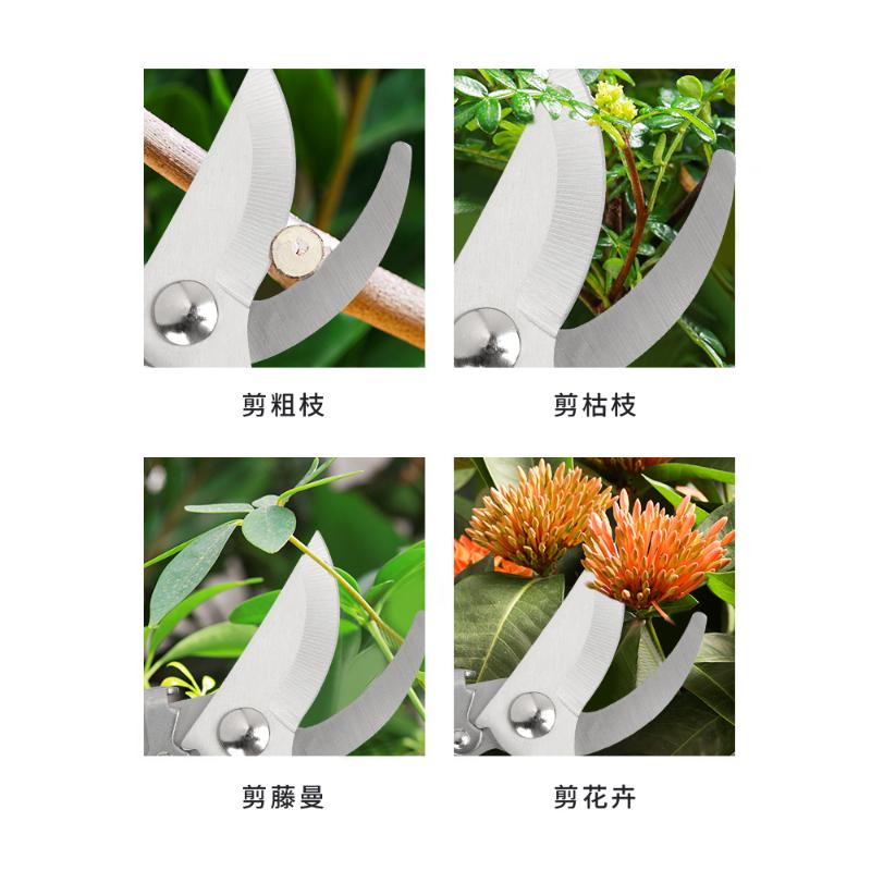 Stainless Steel Branch Pruning Shears For Picking Fruits And Flowers, Garden Fruit Tree Flower Grafting Tools 2