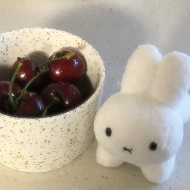 Búp Bê Nhồi Bông Cầm Tay Dễ Thương, Miffy, Siêu Đáng Yêu, Thỏ Trắng Mini, Đồ Chơi Nhồi Bông Mặt Dây Chuyền Quà Tặng 5