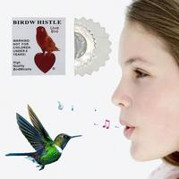 Bird Toys