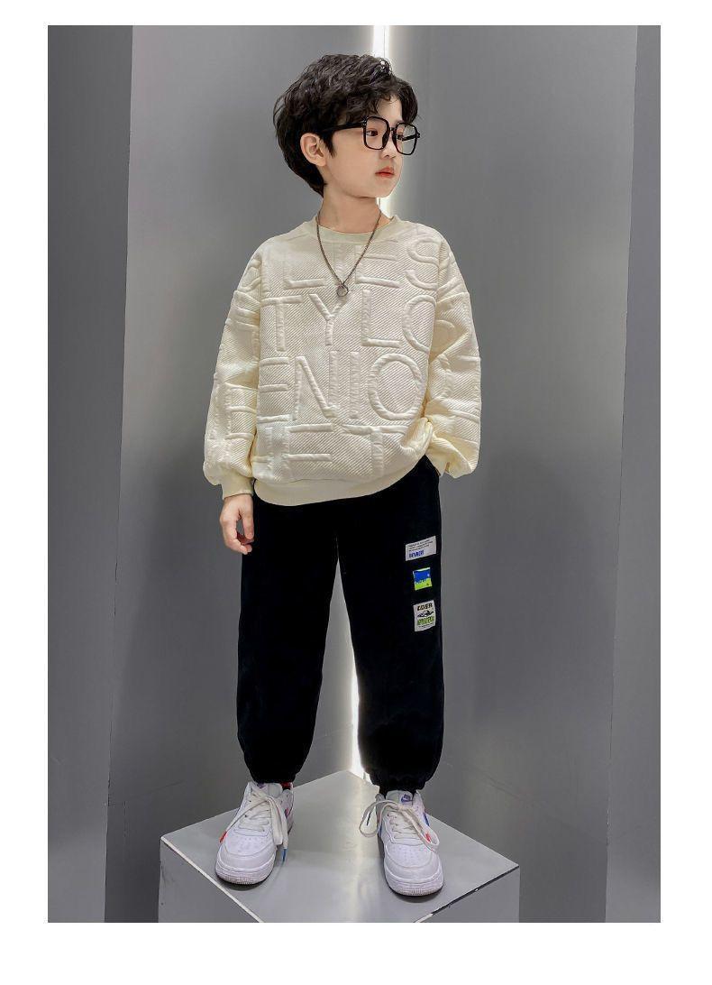 Product Introduction of Áo Hoodie, Cho Bé Trai, Bộ Sưu Tập Mùa Xuân Và Mùa Thu 2023, Hàng Mới Về, Cỡ Trung Bình Và Lớn, Thời Trang Và Phong Cách, Thường Ngày, Jacquard Twill, Thích Hợp Cho Bé Gái, Áo Trên 14